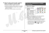 Страница 258