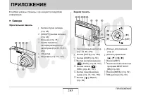 Страница 263