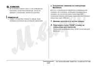 Страница 243