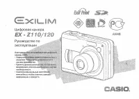 Casio EX-Z110 