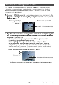 Страница 111