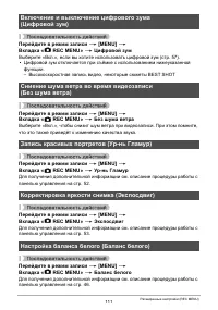 Страница 111