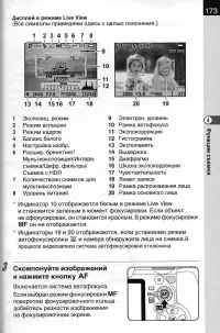 Страница 175