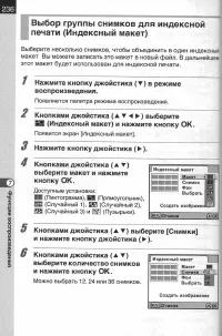 Страница 238