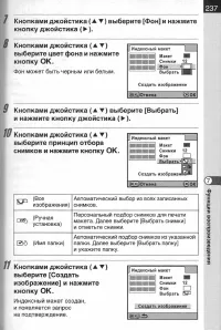 Страница 239