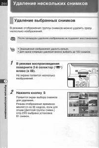 Страница 246