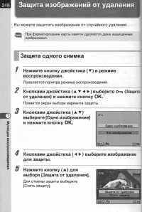 Страница 250