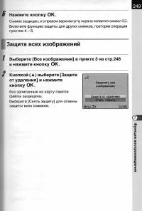 Страница 251