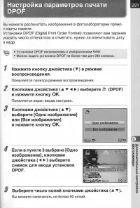 Страница 293