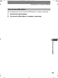 Страница 119