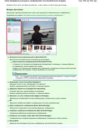 Страница 433