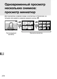 Страница 244