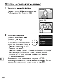 Страница 262