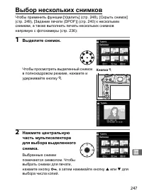 Страница 273