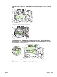 Страница 243