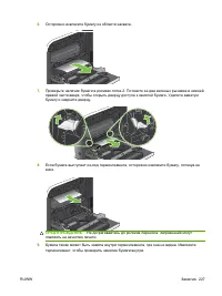 Страница 241