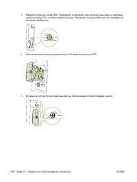 Страница 244