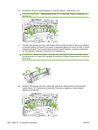 Страница 264