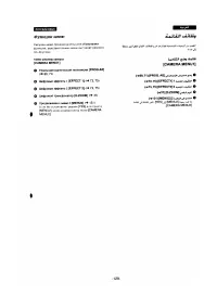 Страница 119