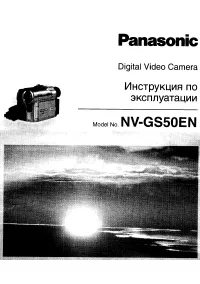 Panasonic NV-GS50EN