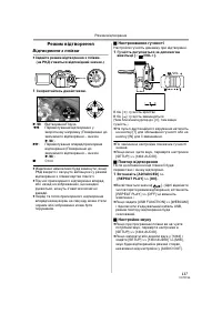 Страница 117