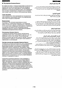 Страница 119