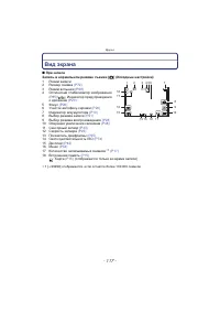 Страница 117