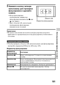 Страница 101
