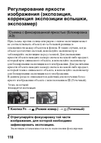 Страница 118