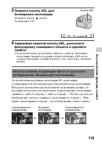 Страница 119