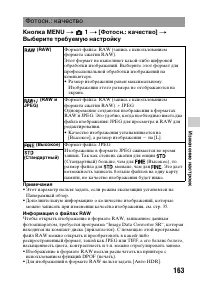 Страница 163