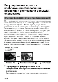 Страница 100