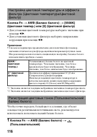 Страница 116