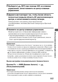 Страница 117