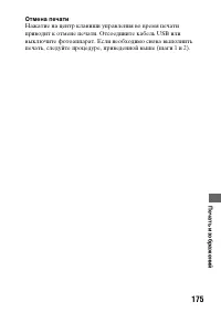 Страница 175