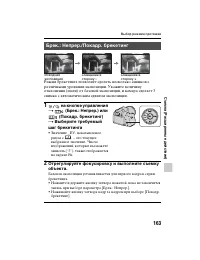 Страница 163
