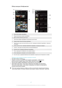 Страница 117