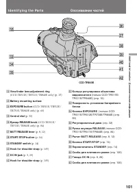 Страница 101