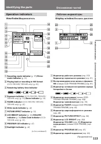 Страница 113