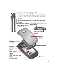 Страница 225