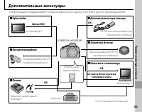 Страница 115