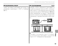 Страница 117