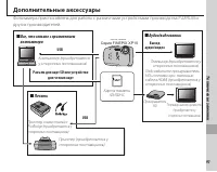Страница 101