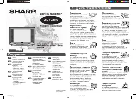 Sharp 21L-FG1RU