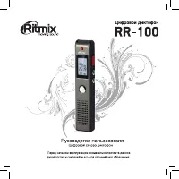 Ritmix RR-100