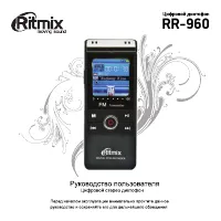 Ritmix RR-960