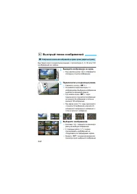 Страница 242