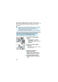 Страница 262