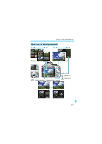 Страница 381