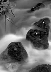 Страница 144